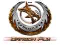 Logo Dragon Fly Parachutisme